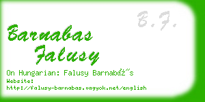 barnabas falusy business card